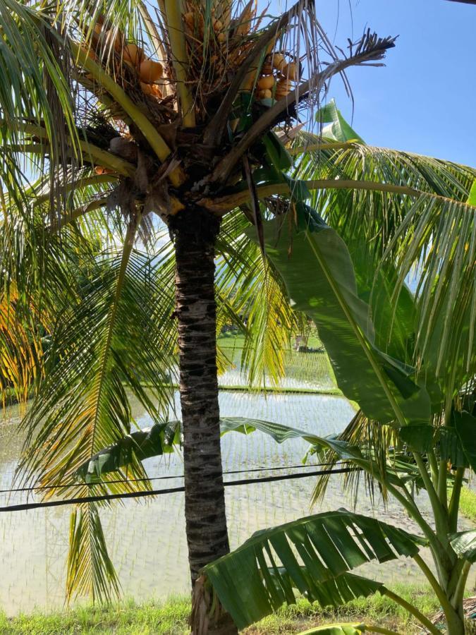 Villa Agung Beach Inn Lovina Eksteriør bilde
